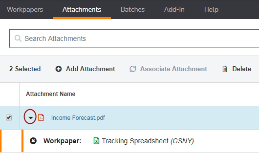 Screen capture showing how to select the triangle icon to open a list of workpapers.